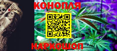 СК Краснодар