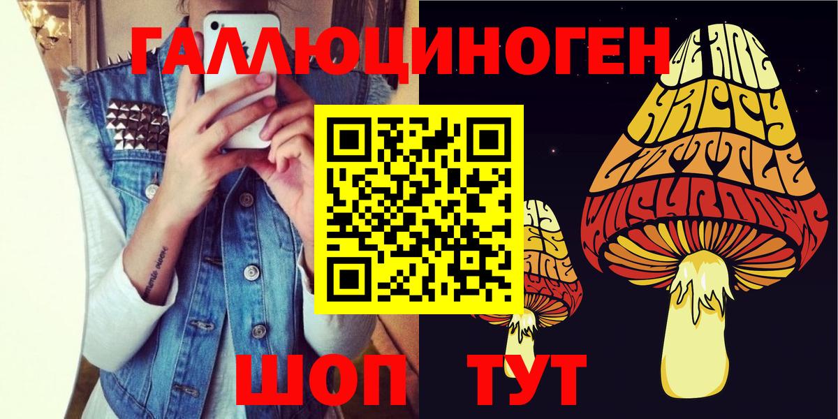 Галлюциногенные грибы Psilocybine cubensis  Галлюциногенные грибы Cubensis  Вход с VPN  где найти   Электрогорск 